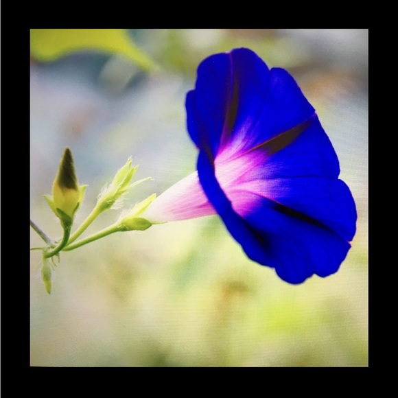 Bundle & Make Offer - Picture 3 of 4